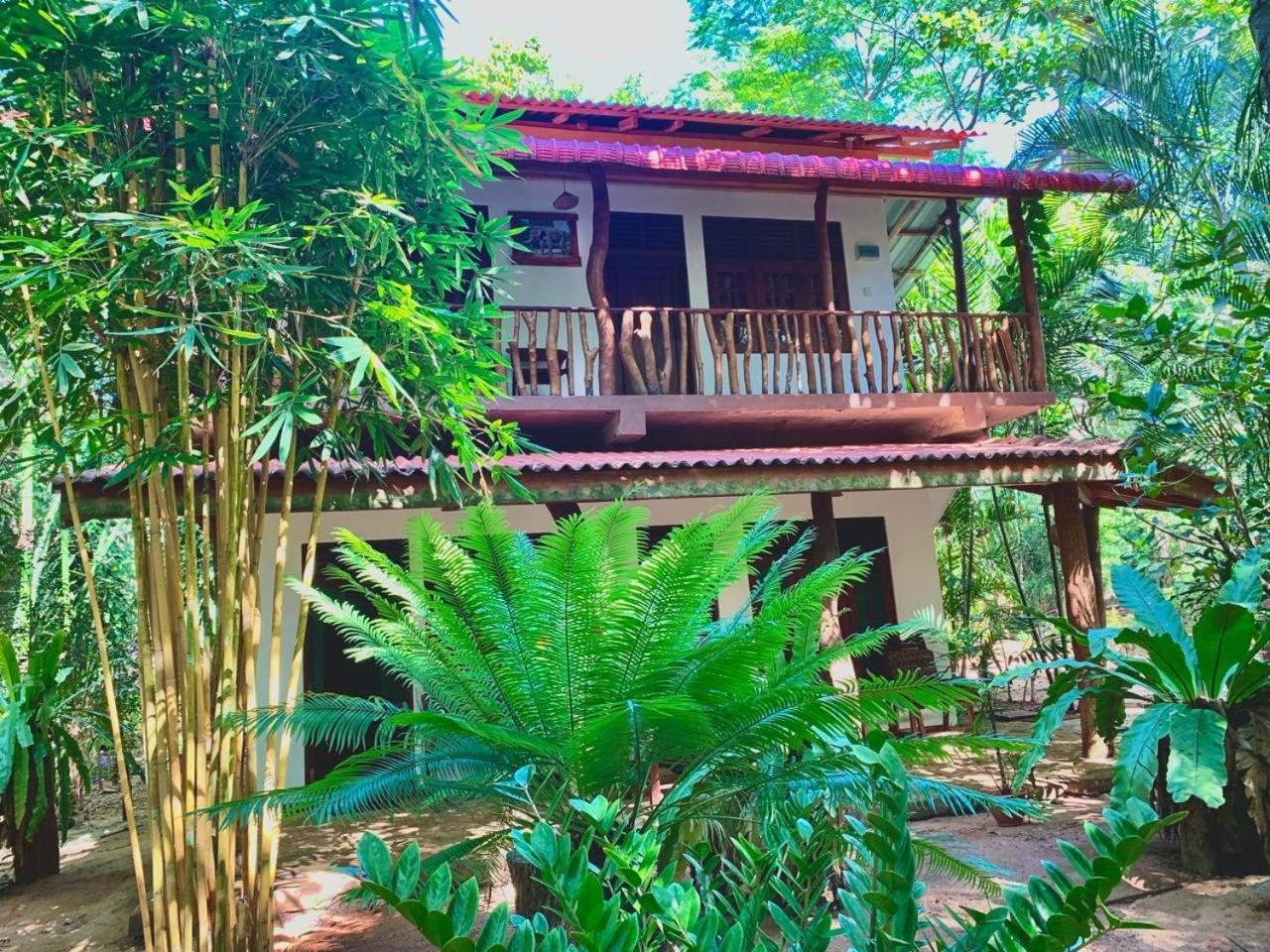 Walawa Blue Sapphire Hotel Udawalawe Exterior foto