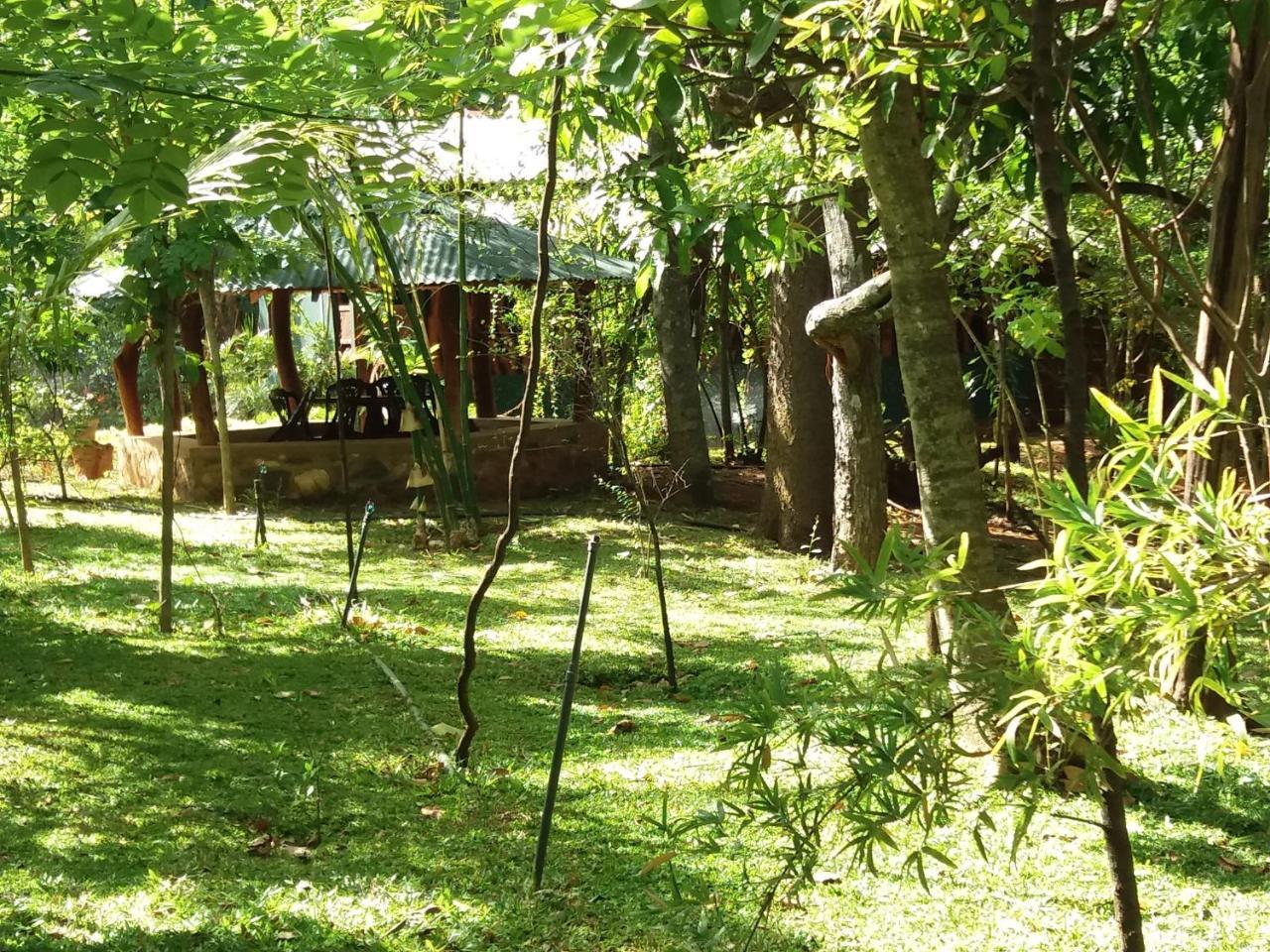 Walawa Blue Sapphire Hotel Udawalawe Exterior foto